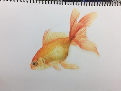 張佳源 - 色鉛筆 寫實