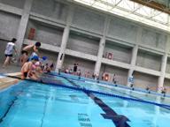 吳宗彥 - 維多利亞小學教學