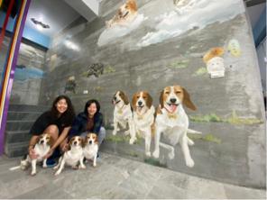 1200km動物精緻壁畫 - 宜蘭柚紫緣壁畫合照 1200km動物精緻壁畫 - 宜蘭柚紫緣壁畫合照