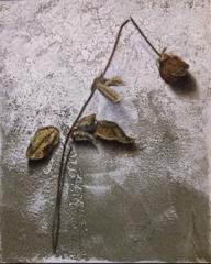 UanChen - 2020 油畫作品