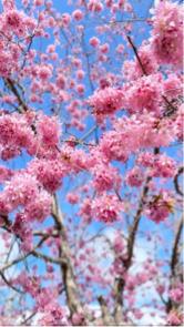 奇力包車旅遊 - 