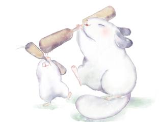 HUMI虎米/插畫設計 - 