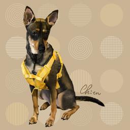 Chien Design Studio - 寵物電腦繪圖