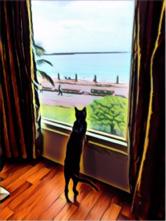 鄒豐合🇬🇧 🇺🇸🇫🇷 來一趟完美的歐洲之旅  - 書房一角