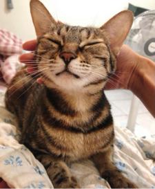 園長-王郁喬 - 專業騷騷 拍屁屁服務