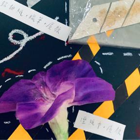 昀蒨 -  仿寫實牽牛花