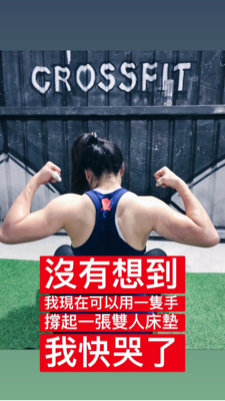 Alice 艾莉絲 獅獅 - 