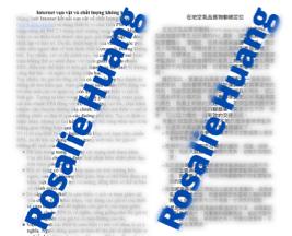 黃雅萍 -  大學教授的研究主題（在地空氣品質物聯網定位）
中文翻譯為越南文，約2500個字，於7天內完成