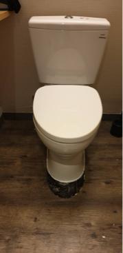 陳俐穎 - 馬桶舊換新施做