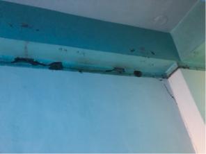 探吉水電 - 牆面補強  前