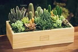 象山小園藝師 - 123123