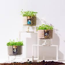 象山小園藝師 - 123123