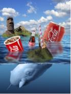 Andy - PS修圖與合成