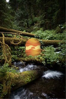 湧感設計 - 電繪合成