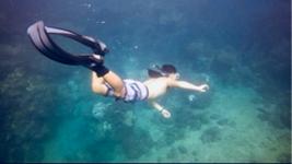 海鼠鼠UncleHi游泳小教室 - 自由潛水 海鼠鼠UncleHi游泳小教室 - 自由潛水
