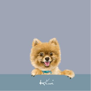 Chien Design Studio - 