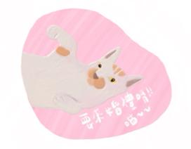 林以桑 - 電繪-寵物杯墊設計