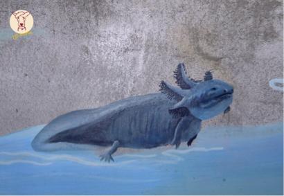 1200km精緻壁畫 - 