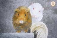 1200km精緻壁畫 - 