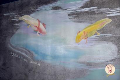 1200km精緻壁畫 - 