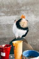 1200km精緻壁畫 - 