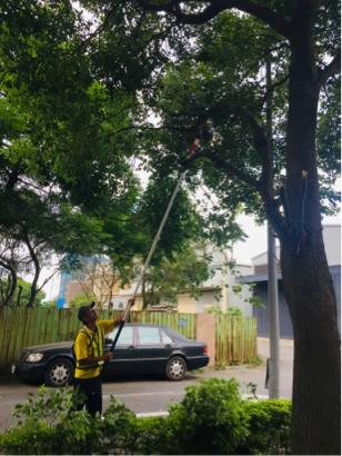 承富企業社 - 修樹