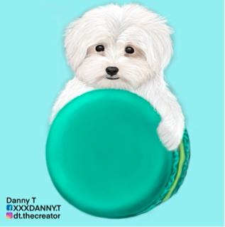 Danny T 客製化插畫 - 瑪卡龍