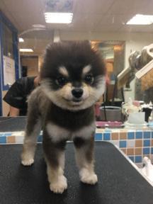 O'baby 寵物生活館 - 