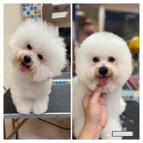 O'baby 寵物生活館 - 