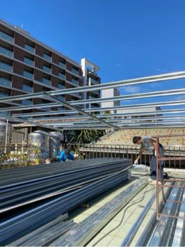 正發行 -  新骨架