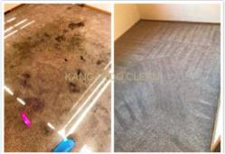 袋鼠環保清潔有限公司 - 地毯清潔