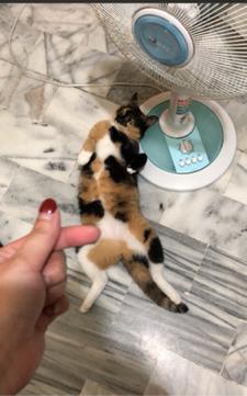 林敏酸 - 到府服務的寶貝-妹妹