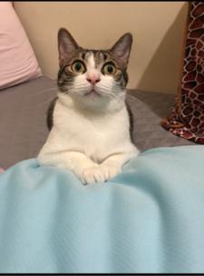 林敏酸 -  酸酸家的寶貝-錢錢