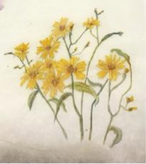 蔡佳穎 - 水墨寫意