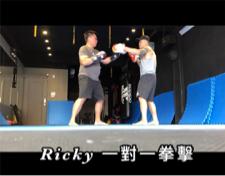 南港內湖🏋️體驗 - 拳擊一對一 南港內湖🏋️體驗 - 拳擊一對一