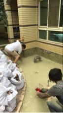 泓緣拆除打石工程 - 。ㄋ