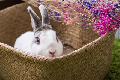 Q 攝影 -  Q 攝影 -