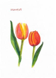 ORANJIN - 手繪作品：花