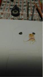 jai ping Ling - 寵物小狗色鉛筆插畫（前）