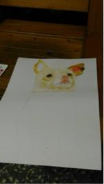 jai ping Ling - 寵物小狗色鉛筆插畫（中）