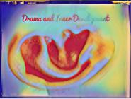 荃嶼拾光工作室 - 