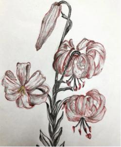 邱怡慈 - 鉛筆、原子筆