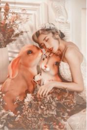 紅糖攝影工作室 - 你愛嗎？