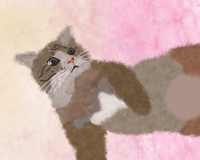 圓碌碌工作室 - 台北瘋貓祭入選作品