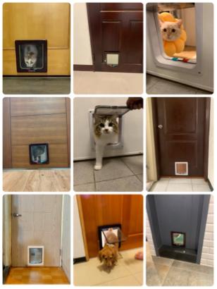 木工小邱 - 寵物門安裝