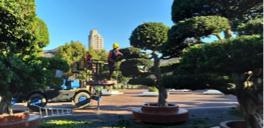 李宜修 - 鉅樹、樹木修剪