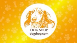 CatWork - 名片設計