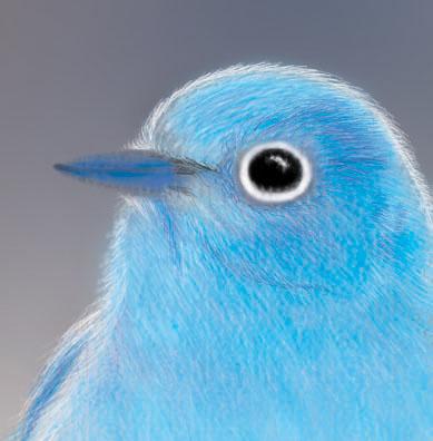 n's JARDIN  - 電繪作品 n's JARDIN  - 電繪作品