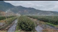 成得企業社 - 自動灑水系統