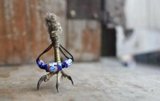 Sheng Wang - 商品攝影